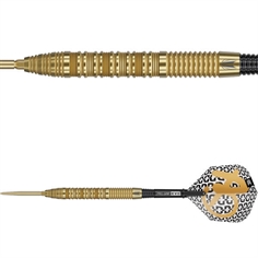 Target Bolide Envy 01 SP 90% Tungsten 22 gram