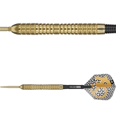 Target Bolide Envy 04 SP 90% Tungsten 21 gram