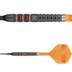 Raymond van Barneveld 95k 95% Soft Tip 20 gram
