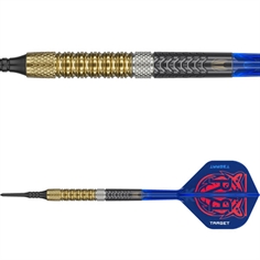 Raymond van Barneveld G6 95% Soft Tip 20 gram
