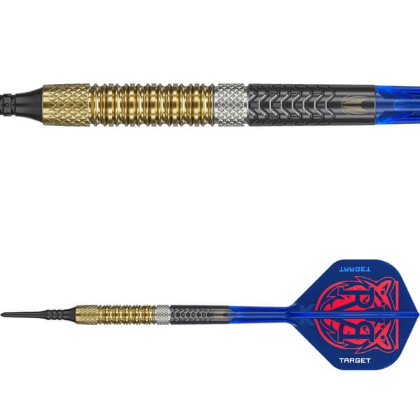 Raymond van Barneveld G6 95% Soft Tip 20 gram