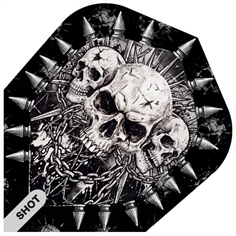Shot Gnarly Skulls No.6 Flights